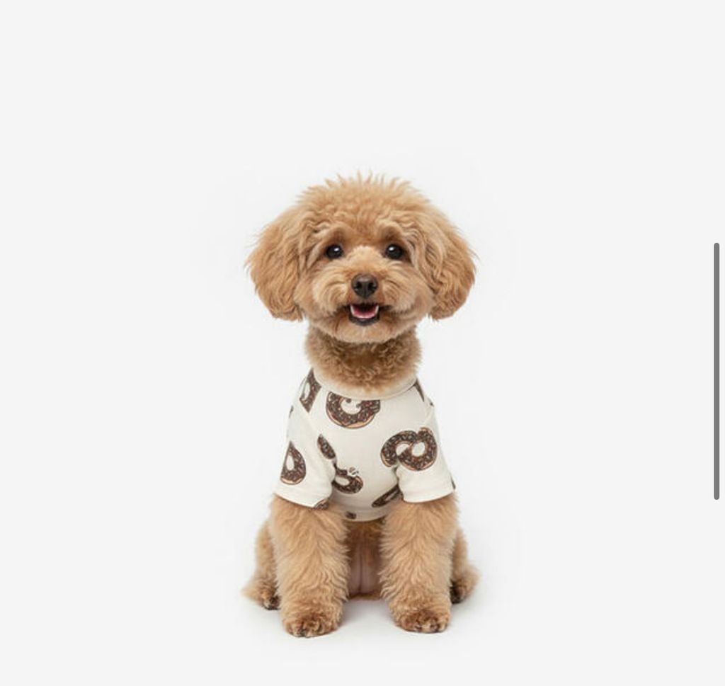 image_350C7F4A-1012-4967-8BD1-50E3F85CF776_1760960785