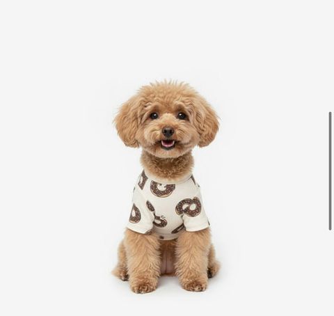 image_350C7F4A-1012-4967-8BD1-50E3F85CF776_1760960785