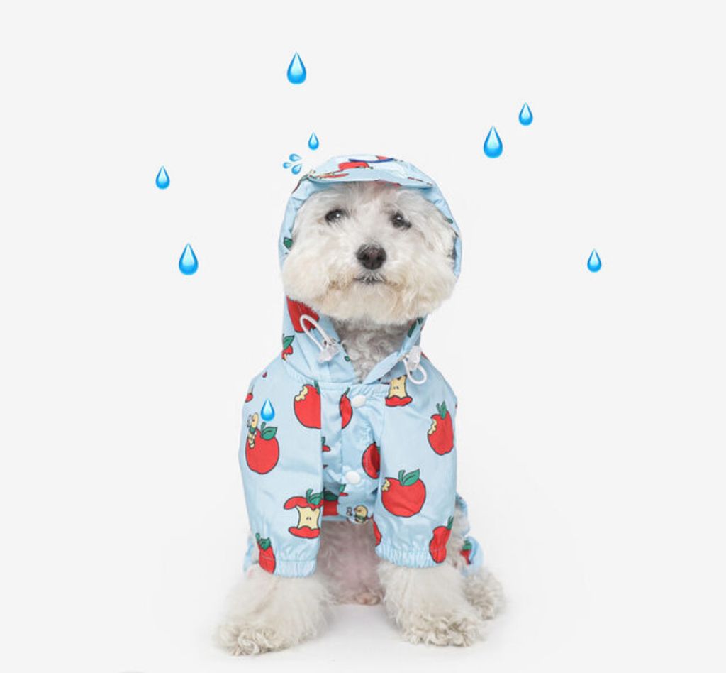 image_C166434E-5652-4457-8182-C587786AD633_1760961175