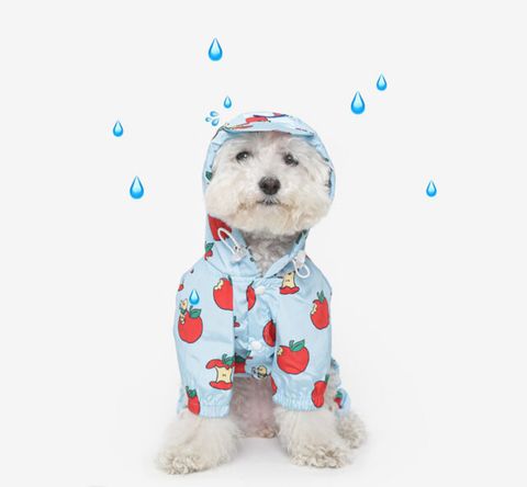 image_C166434E-5652-4457-8182-C587786AD633_1760961175