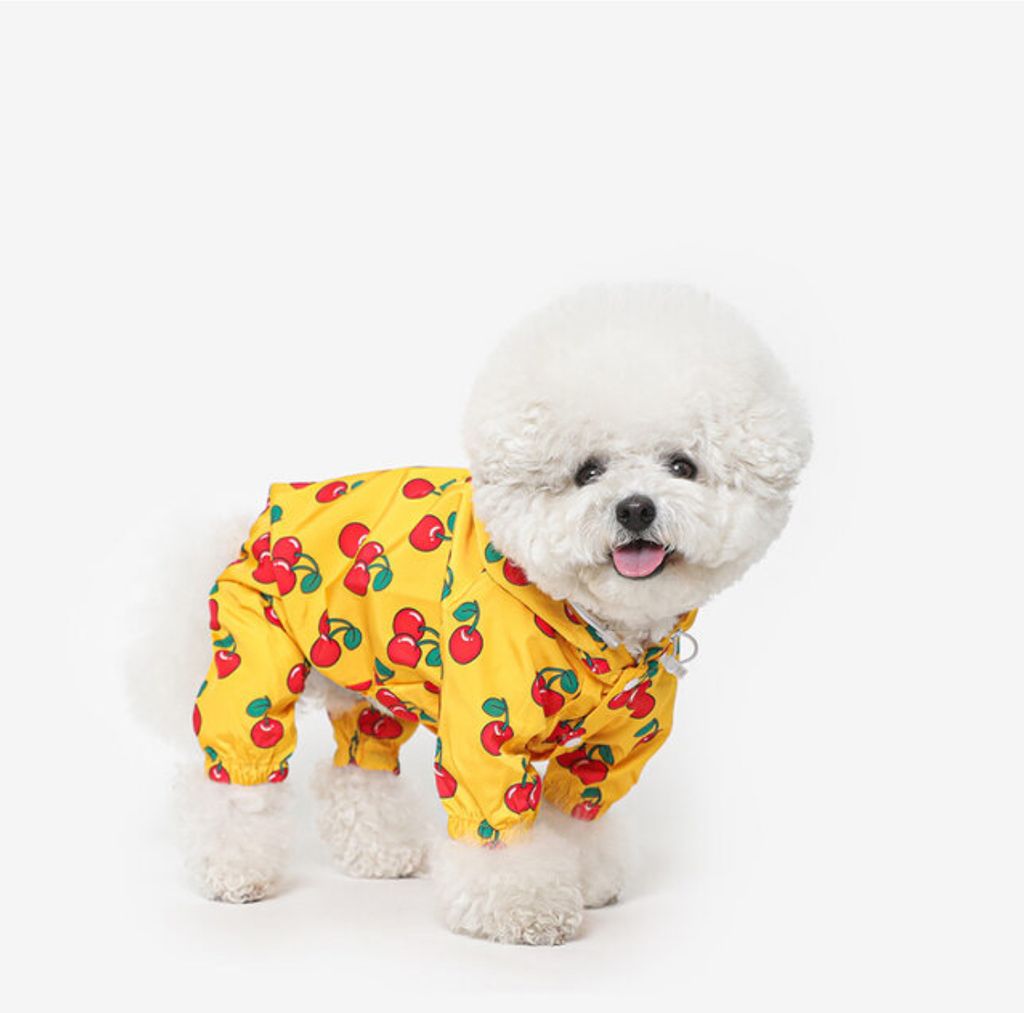 image_70A4B11E-BF3E-47E3-948C-5EBAD40B90C8_1760961175