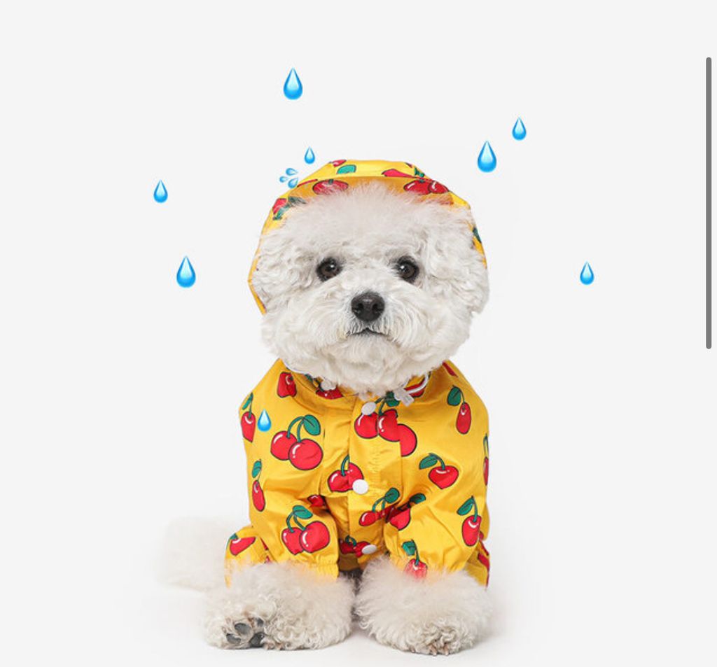 image_EBE7CB77-7859-4C53-AFED-90040D07C81C_1760961175