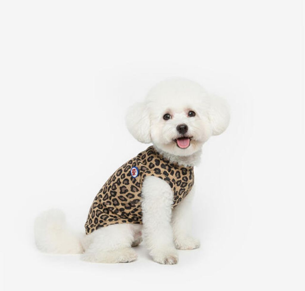 image_FC0966F5-BF7A-4495-A457-6231A3B8A556_1761014473