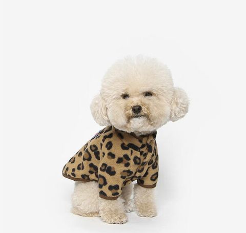 image_394C1566-A550-4062-A0E5-E72E23379DF3_1761060408