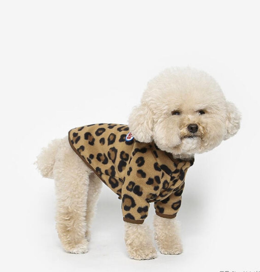 image_454A2F0B-80F9-4921-92AB-899A77667B4D_1761060434