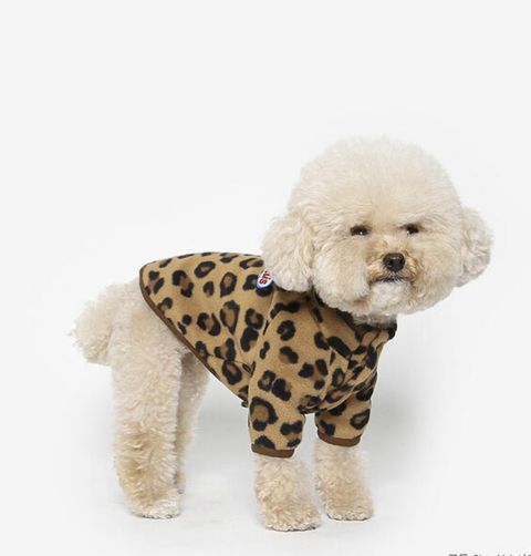 image_454A2F0B-80F9-4921-92AB-899A77667B4D_1761060434