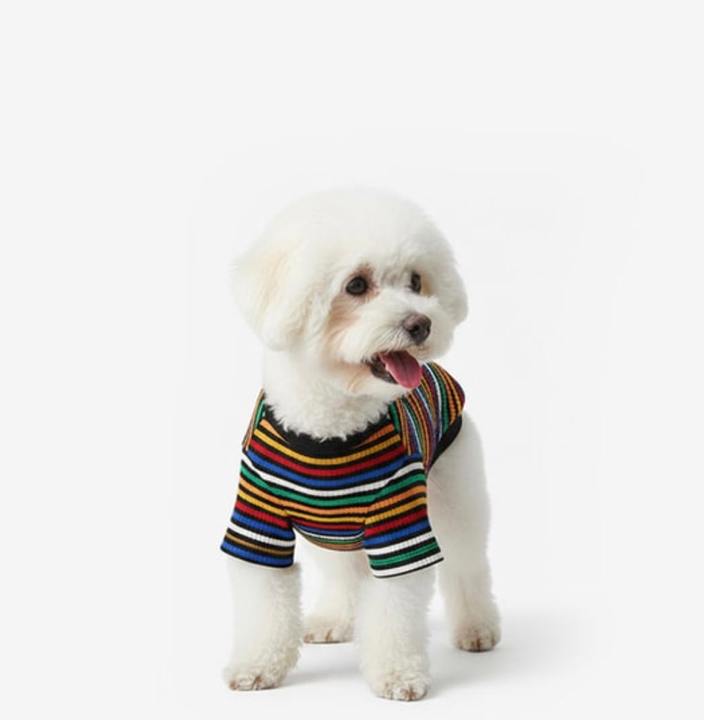 image_D123F680-BB7B-4B3F-BF23-F757A1A19F93_1761060486