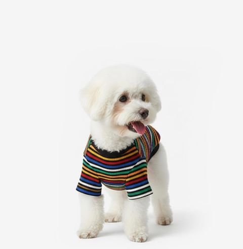 image_D123F680-BB7B-4B3F-BF23-F757A1A19F93_1761060486