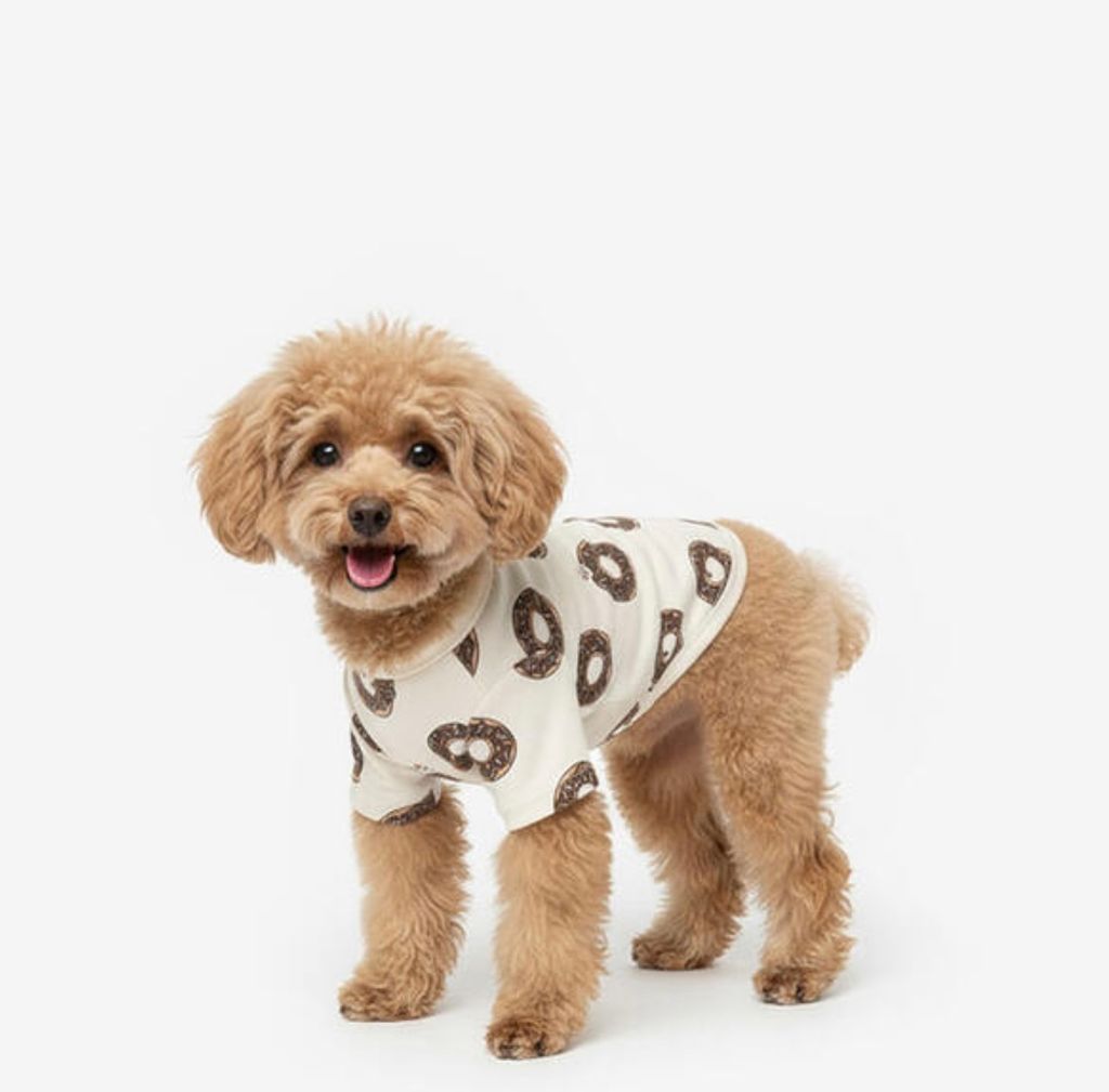 image_22ED6625-B3FA-480E-A3F1-EE40BAA16BDF_1761060592