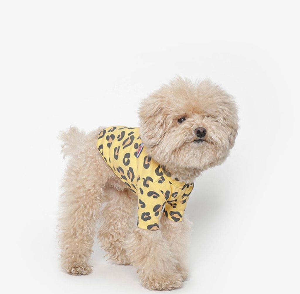 image_E12AA1FA-0F2F-4924-8E9A-B4B7DB88CB50_1761060649