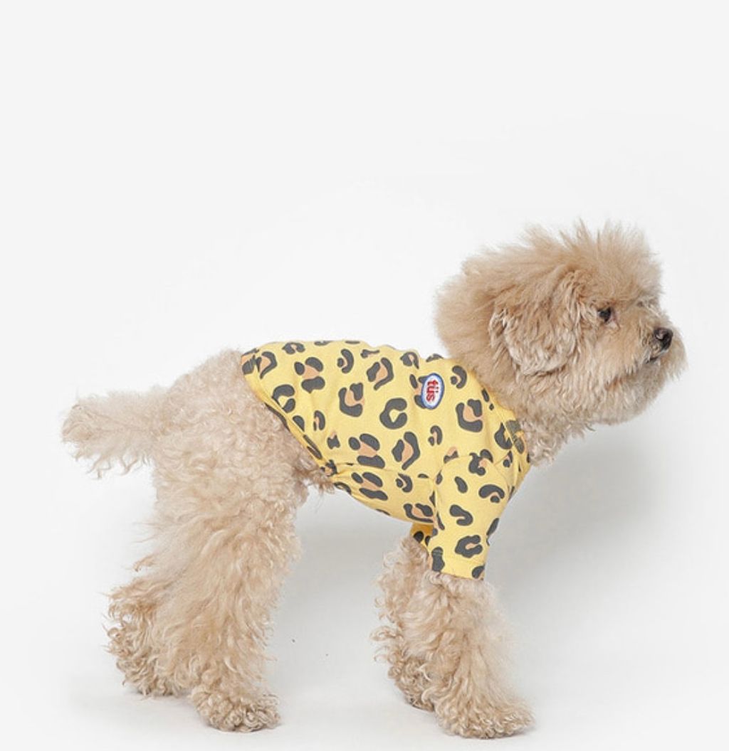 image_1352A016-45DA-40E1-AB19-733B2DE644C6_1761060649