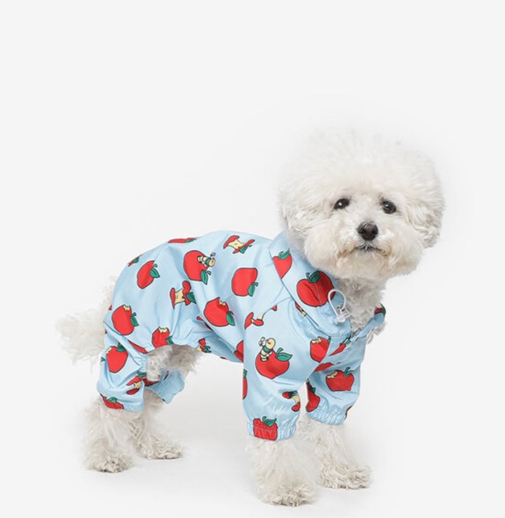 image_567FFFEB-24AD-4721-B776-AA3BC4B3280E_1761060735