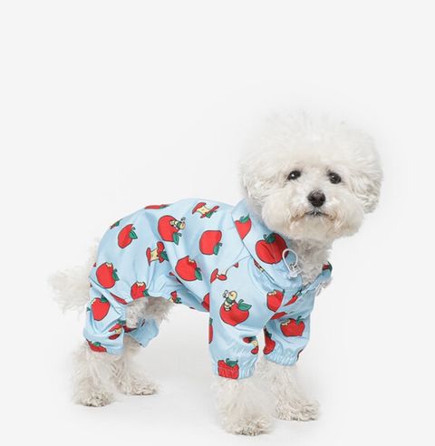 image_567FFFEB-24AD-4721-B776-AA3BC4B3280E_1761060735