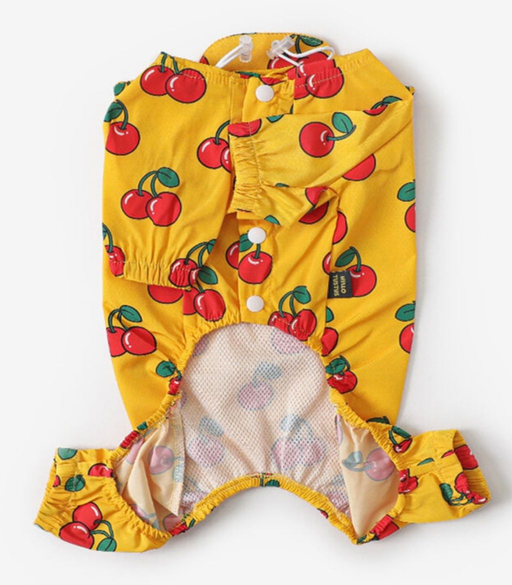 image_C2BEB2F6-30C2-4DCF-9B18-1703C797E47F_1761060792