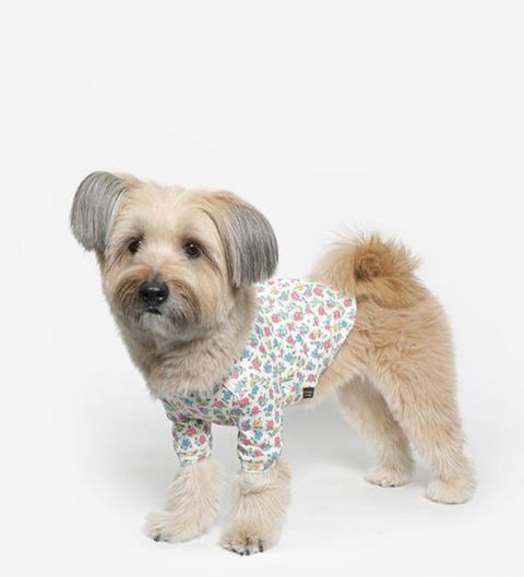 image_4C6F50A5-3072-45B6-9796-D901F225EAEC_1761060886