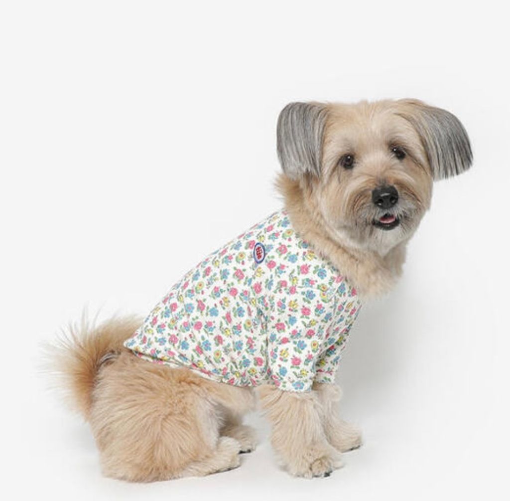 image_3F7EBB09-C574-4418-B6A2-1226FFC146ED_1761060886