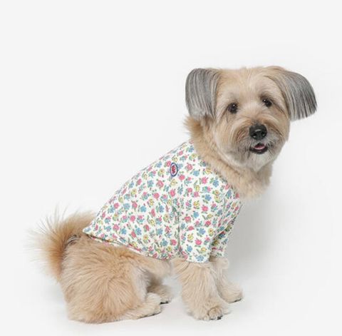 image_3F7EBB09-C574-4418-B6A2-1226FFC146ED_1761060886