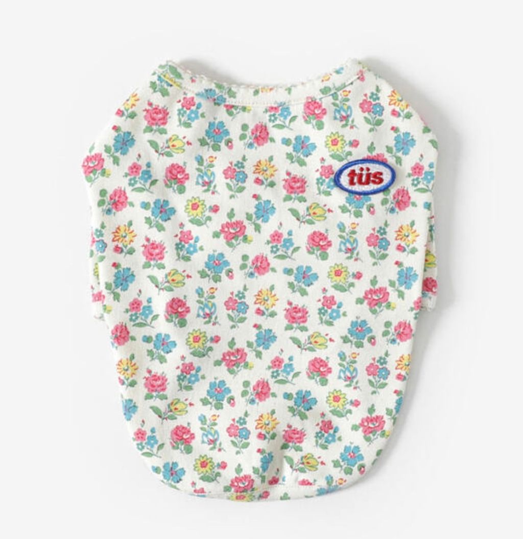 image_B58E4D05-DC91-48AB-8FD3-2ED075010D02_1761060886