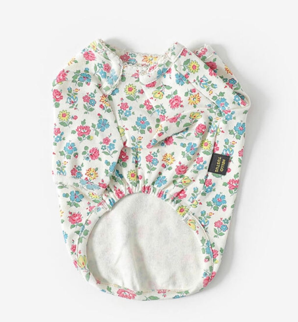 image_3B04BB74-A68A-4B8A-B37D-57225A2E4A2B_1761060886