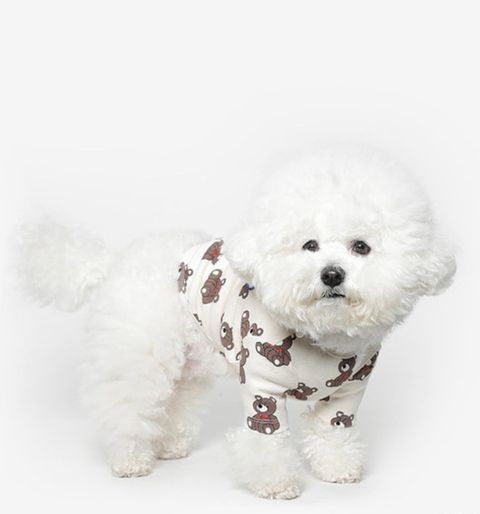 image_85F3A61E-40B1-4806-80BA-B542B8693ED2_1761060937