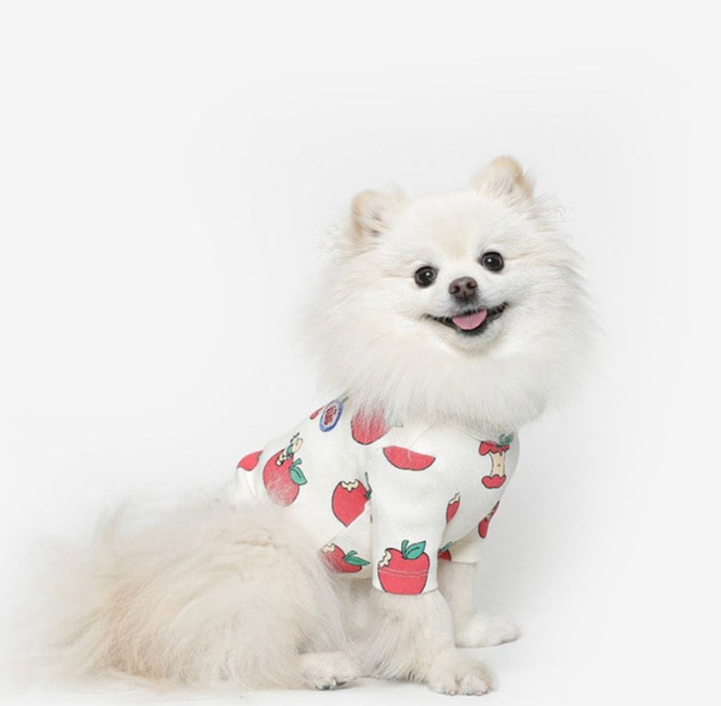 image_694911E3-174F-4268-A4BB-267D07BDA442_1761060990