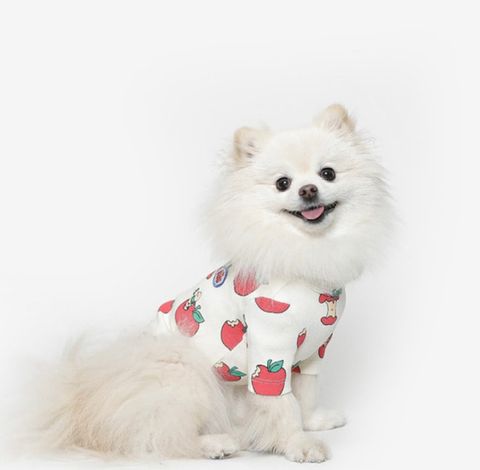 image_694911E3-174F-4268-A4BB-267D07BDA442_1761060990