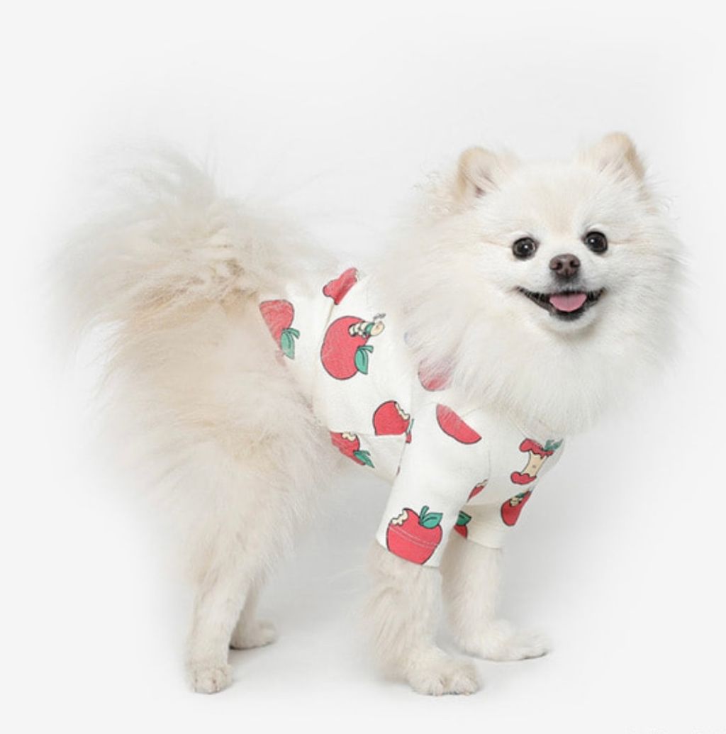 image_CF177FA2-22D6-45CB-819B-489D938A4E30_1761060990