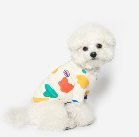 image_5648FB4F-FE48-4110-AC57-9F3B28792F30_1761061039