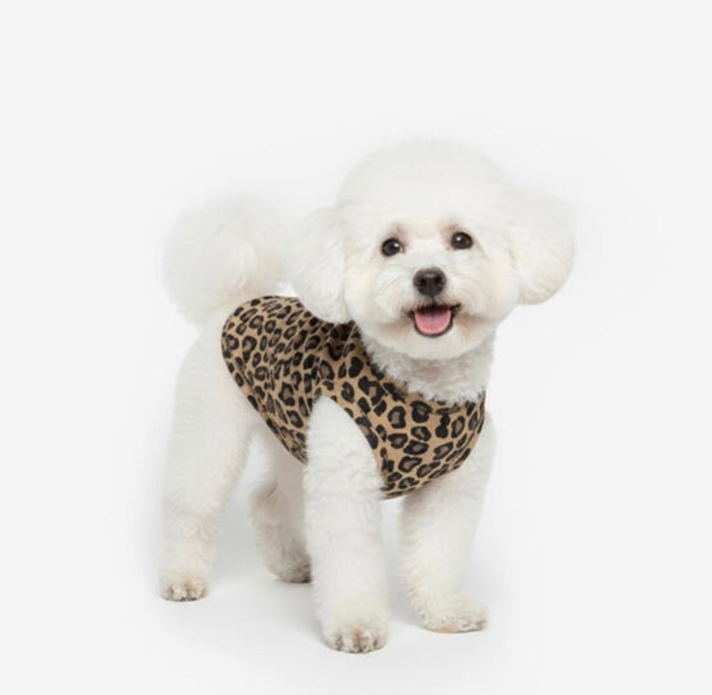 image_99CBCAB6-2B64-4F26-81D0-6B2CE02DC1B1_1761061266