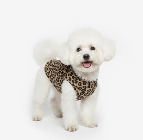 image_99CBCAB6-2B64-4F26-81D0-6B2CE02DC1B1_1761061266