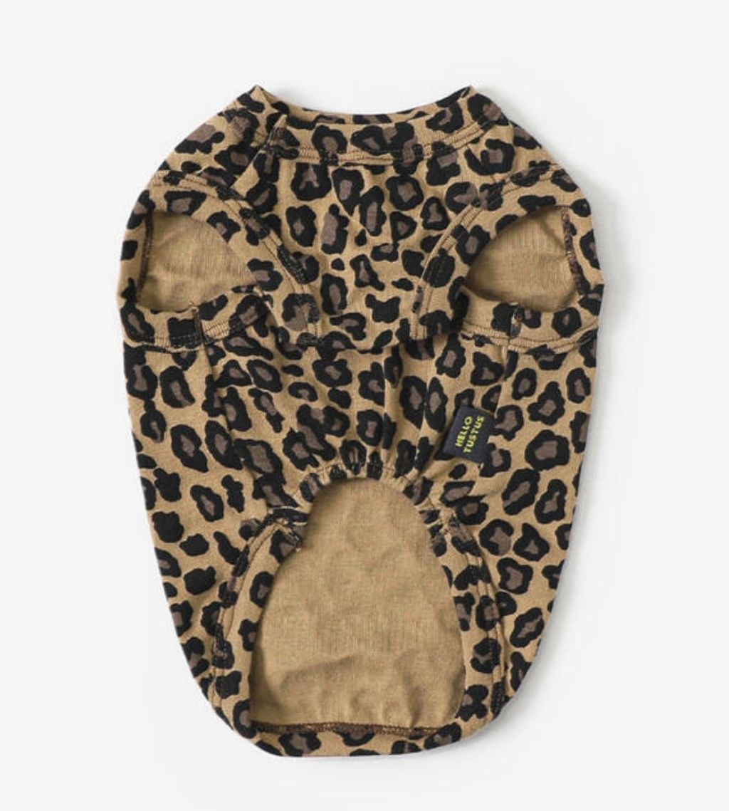 image_1EEDAA32-EF1F-4626-B47A-A790BB22DA4B_1761061266