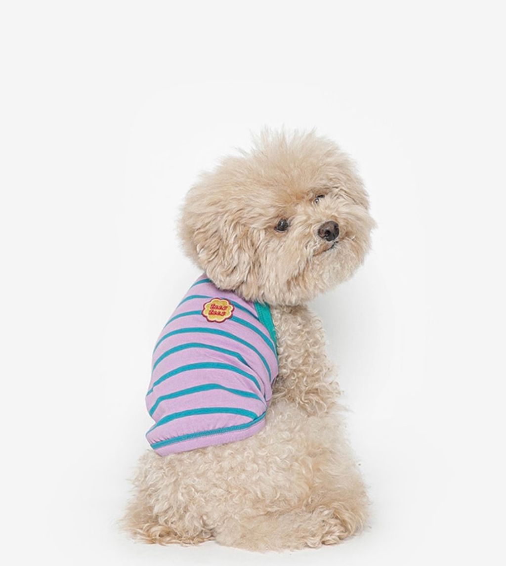 image_E533B576-62E3-4202-BFA9-368381D5D9F7_1761061342