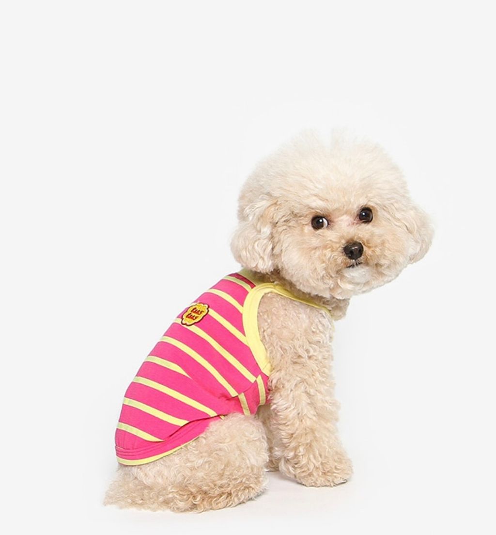 image_75A264BF-680D-4113-AC09-900746BDA466_1761061342