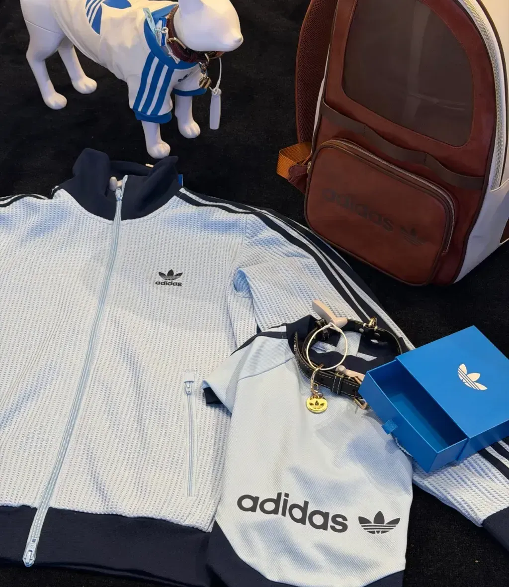 image_AAFA9067-653A-450C-AE29-EF01C3FA78C4_1761068214