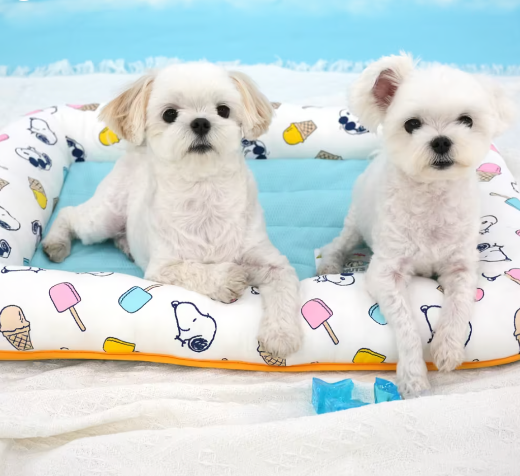 Screenshot 2025-10-23 at 3.26.47 PM