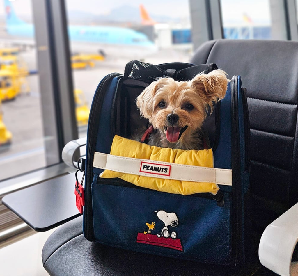 Screenshot 2025-10-23 at 4.01.52 PM