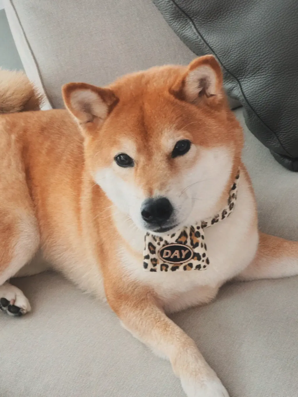 image_566A889A-7F58-47BD-840E-C8D81D855FD2_1761466258