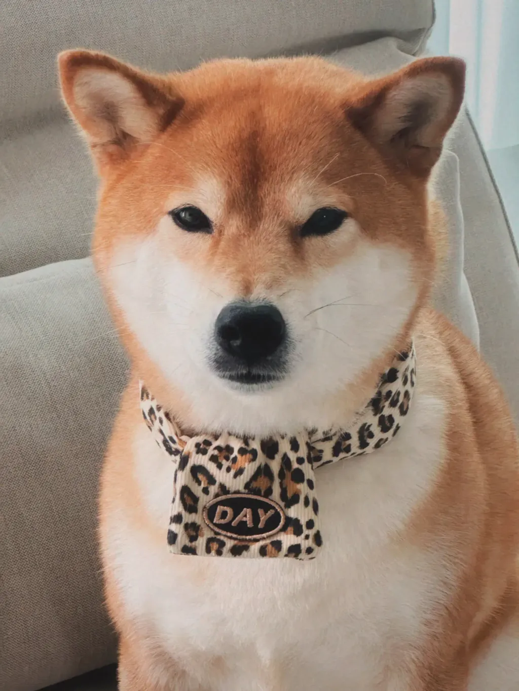 image_4ABE6152-E2A0-45D1-9524-C691B0A02ECF_1761466258