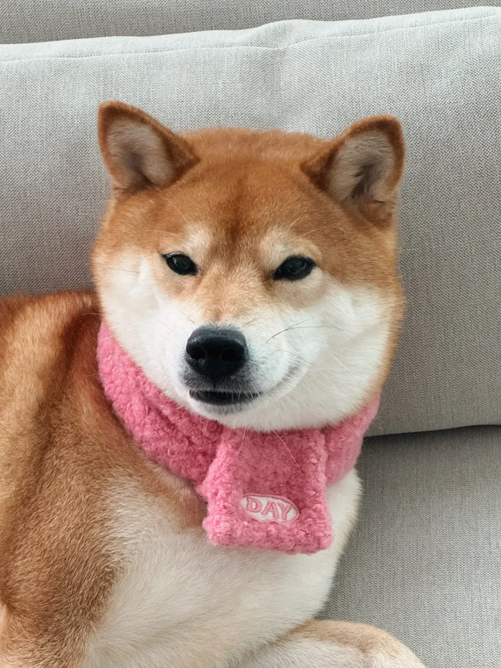 image_A69C710D-FCA5-4824-9259-0FF4E4B488C3_1761466689