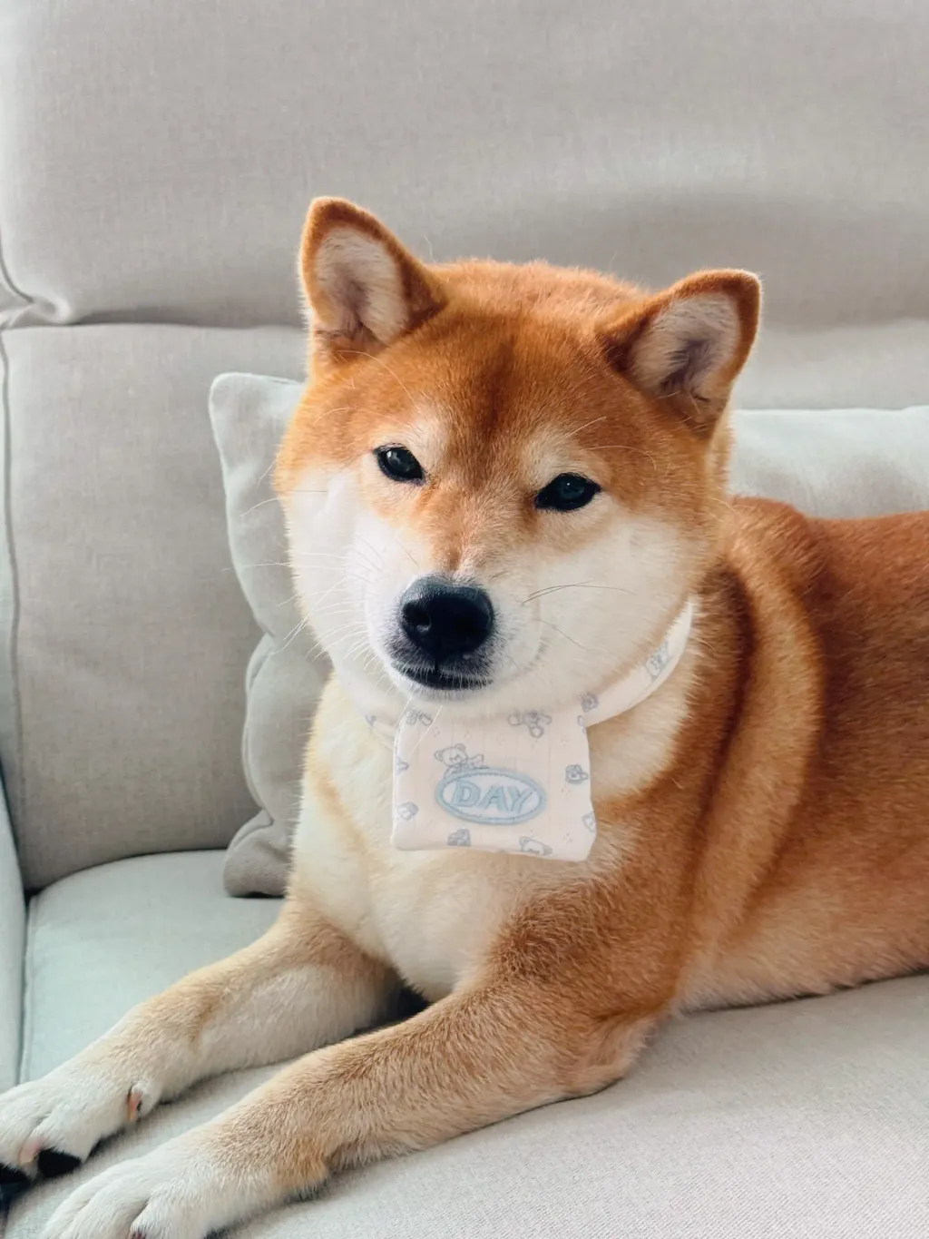 image_C1DE6893-4107-4EAB-88DD-5E0F367A4639_1761466963