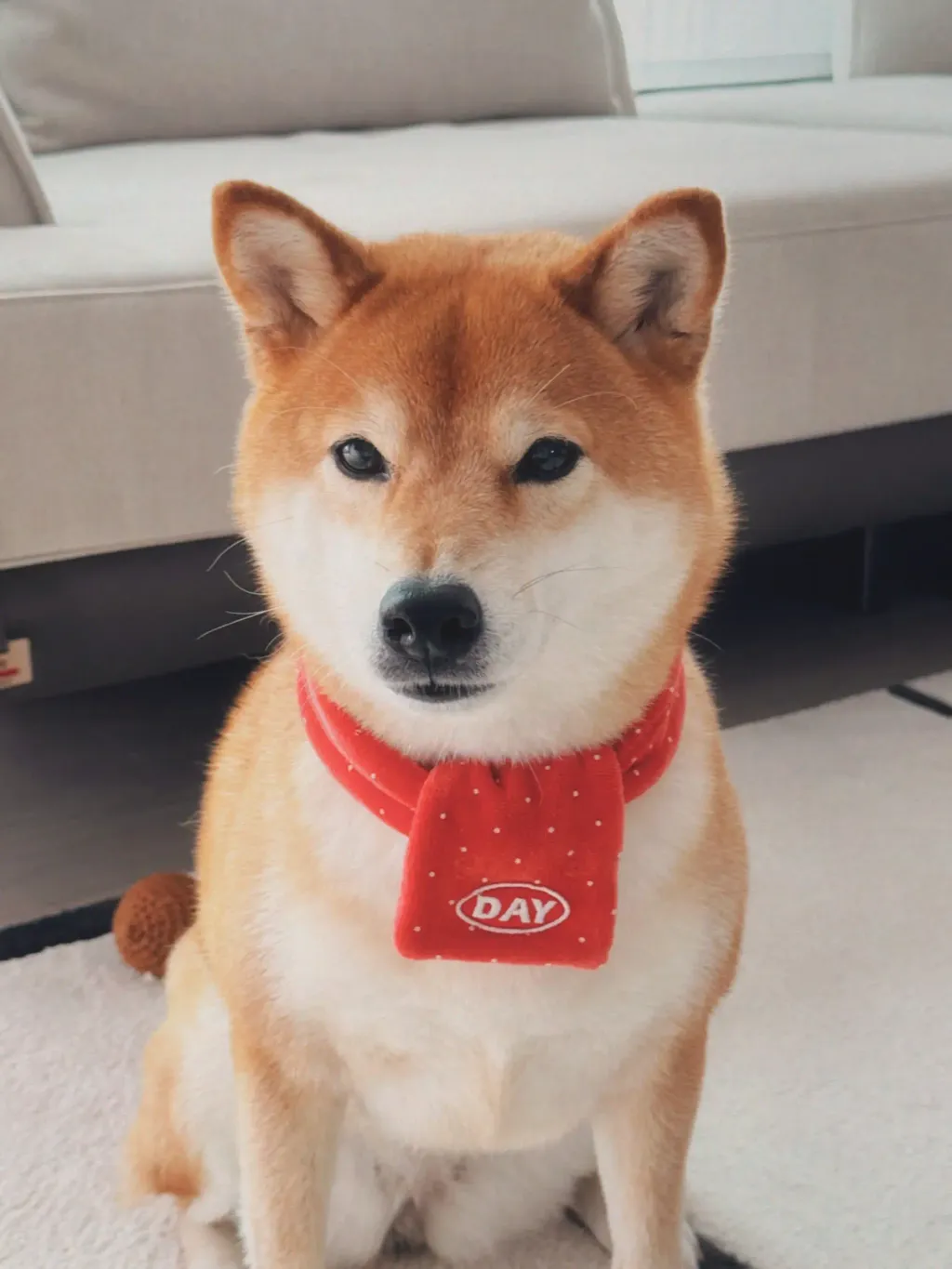 image_1007F30A-C758-4B6C-9570-8CC5B1389F24_1761467123