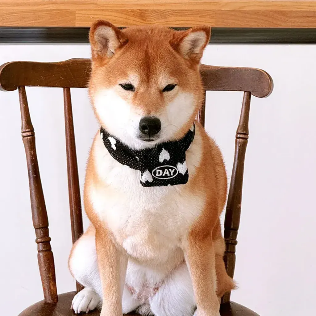 image_6E1B8BB5-AD3F-48BA-A449-7399148CFCF6_1761467381