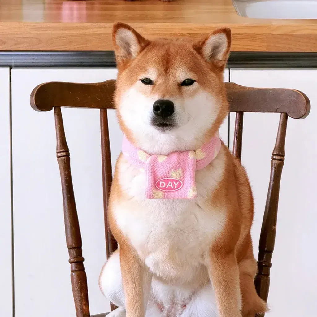 image_C89C093D-FF4F-4B69-A45C-24B31DBF0B62_1761467381