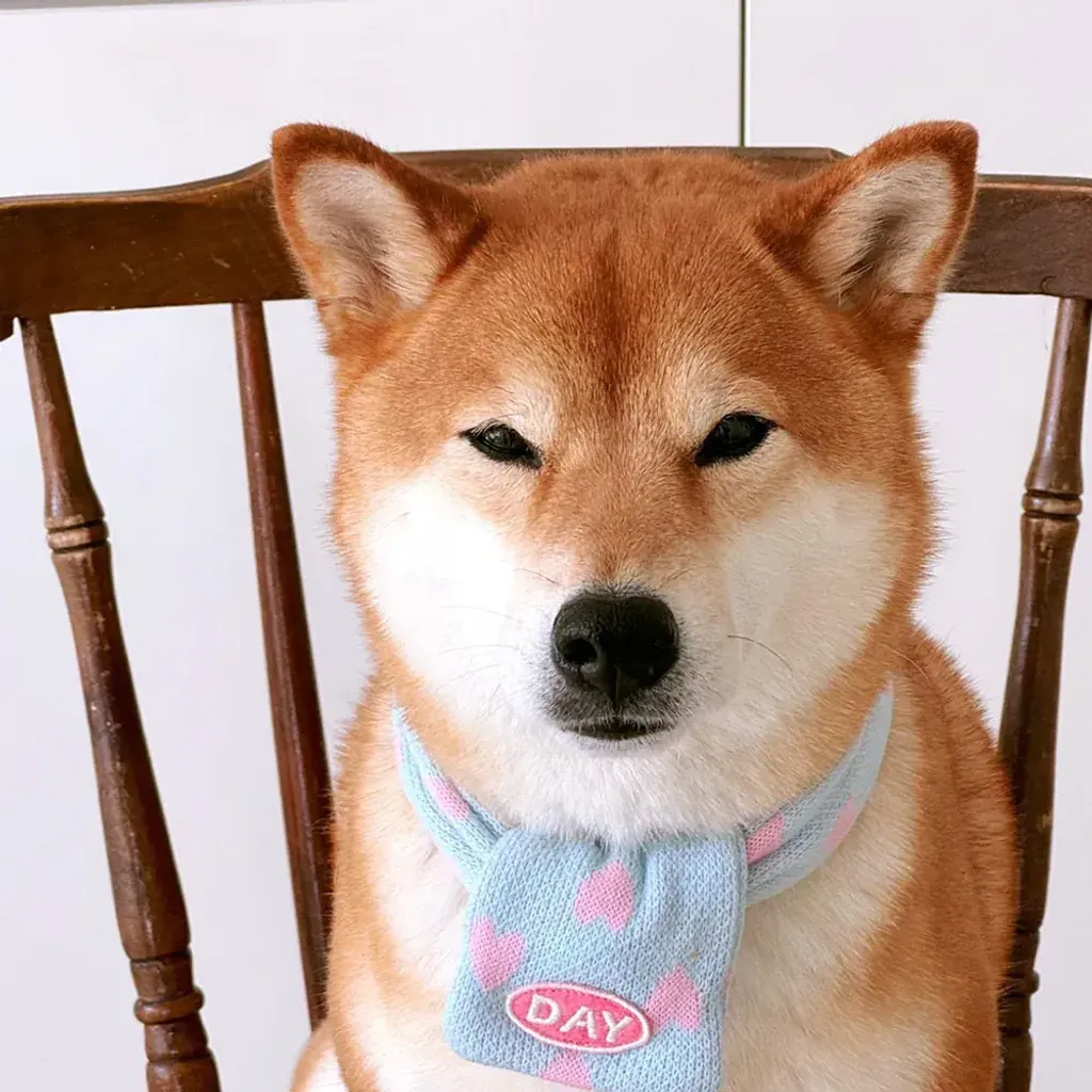 image_B8E08713-D2C6-445E-8D9A-4D326629EDB8_1761467381