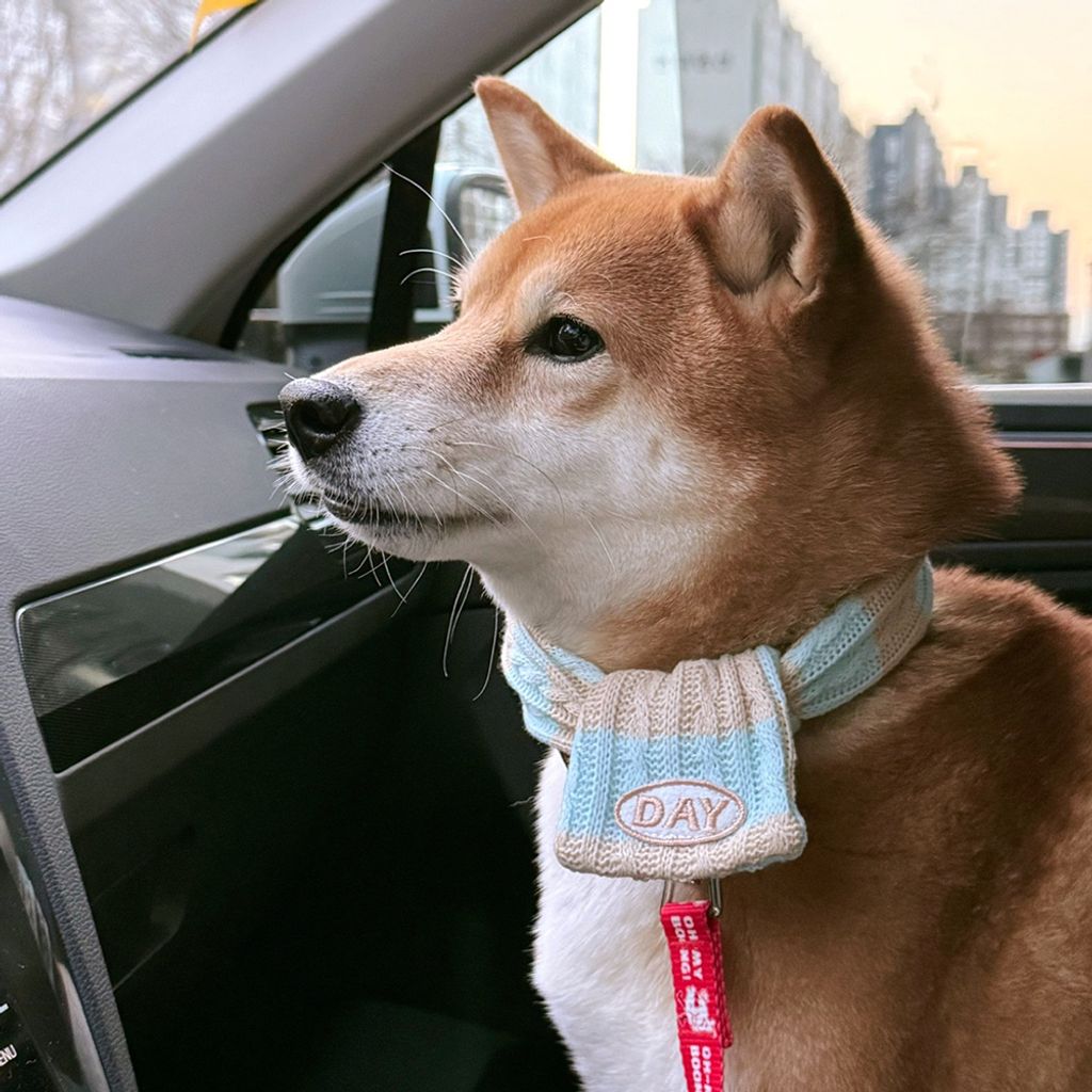 image_C23CE0F7-1D3B-4936-8A65-FC131A291188_1761467610