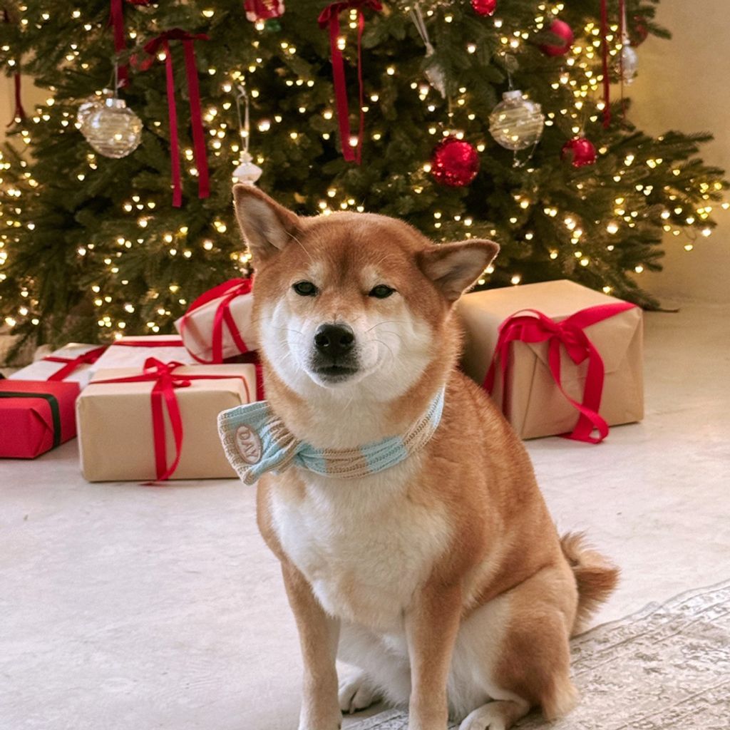 image_5ABD0935-BD0F-4224-A6C8-05F3919DC534_1761467610