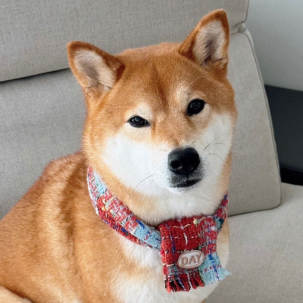 image_373C624E-1F68-45EC-A523-330F63068A2D_1761467839