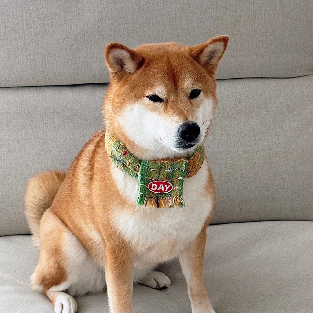 image_4F61E76A-7A5C-43D5-8CB9-A1446E89882B_1761467839