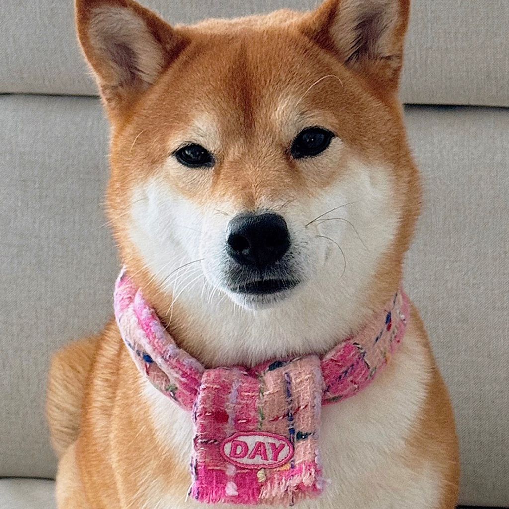 image_59EF626D-98A6-47E5-ACE0-966A6D9D7DBE_1761467839