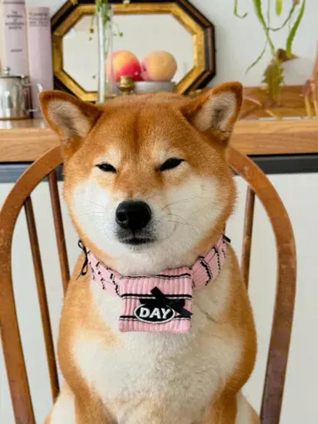 image_D85F02C5-E597-4337-8CA8-1743602992A7_1761467972